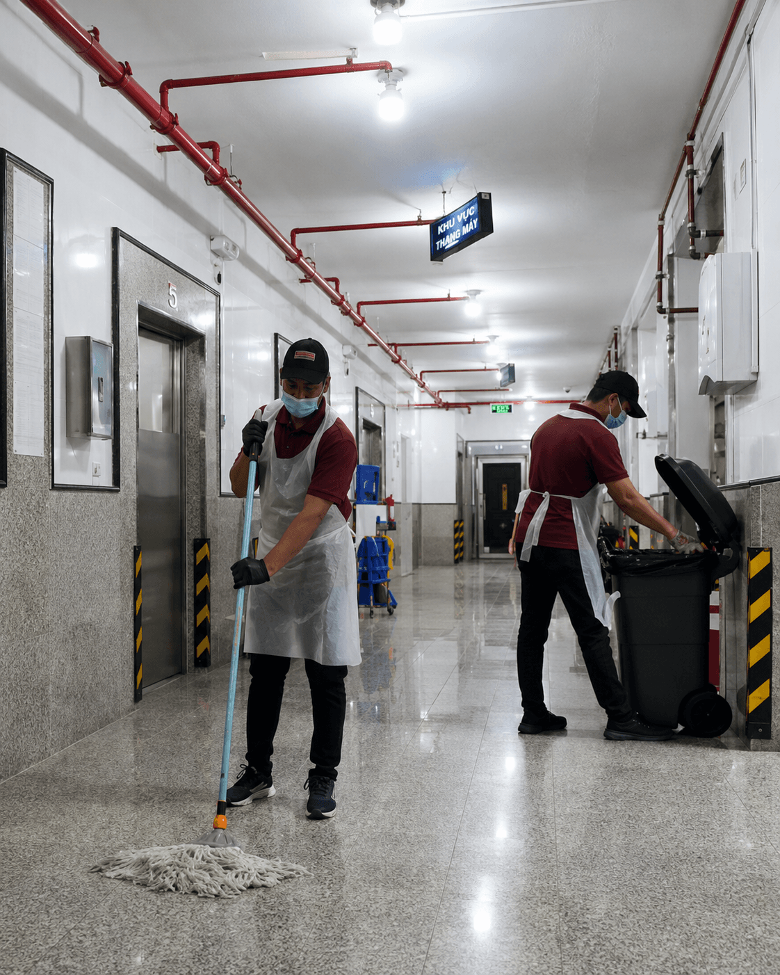 Comprehensive Sanitation